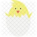 Chick Chicken Bird Icon