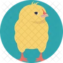 Chick  Icon