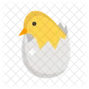 Chick  Icon