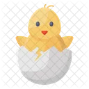 Chick Baby Chick Poultry Chick Icône