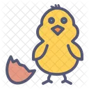 Chicken  Icon