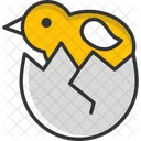 Chicken  Icon