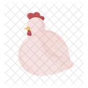 Chicken  Icon