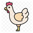 Chicken  Icon