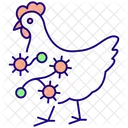 Disease Chicken Virus Icon