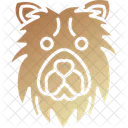 Chow Chow Pet Animal アイコン