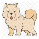 Chow Chow  Icon