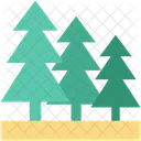 Christmas Tree Evergreen Icon