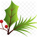 Christmas Plant Decoration  Icon