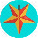 Christmas Star Icon