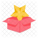 Christmas Star  Icon