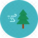 Christmas Tree  Icon