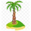 Christmas Tree Palm Tree Palm Icon