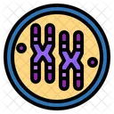 Chromosome  Icon