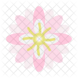 Chrysanthemum  Icon