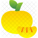 Citrus  Icon