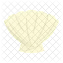 Clam Shell Sea Icon