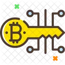 Cle Numerique Cle Numerique Bitcoin Bitcoin Icône