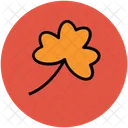 Clover Leaf Nature Icon