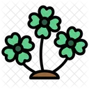 Clover  Icon