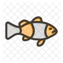 Clown Fish  Icon