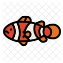 Clownfish  Icon