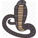 Cobra  Icon