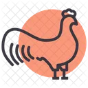 Cock Rooster Bird Icon