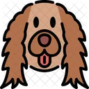 Cocker Spaniel  Icon