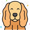 Cocker Spaniel dog  Icon