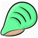 Cockle Seashell Mollusk Icon