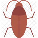 Cockroach Control Exterminator Icon