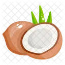 Coconut  Icon