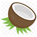 Coconut Tropical Fruit Half Coconut Icon