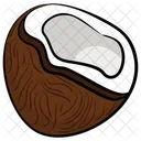 Coconut Food Fruit Icon