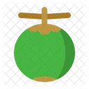 Coconut  Icon