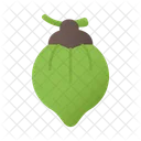 Coconut  Icon