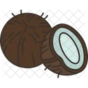 Coconut  Icon