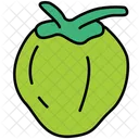 Coconut  Icon