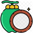 Coconut  Icon