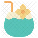 Coconut  Icon