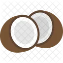 Coconut Seed Shell Icon