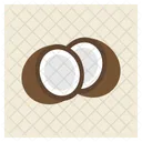 Coconut Seed Shell Icon