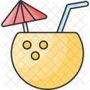 Coconut Drink  Icon