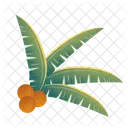 Coconut leaves  Icon