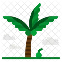 Coconut Tree  Icon