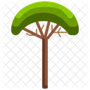 Coconut Tree  Icon