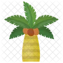 Coconut Beach Date Icon