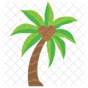 Palm Coconut Date Icon