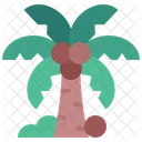 Coconut Tree  Icon